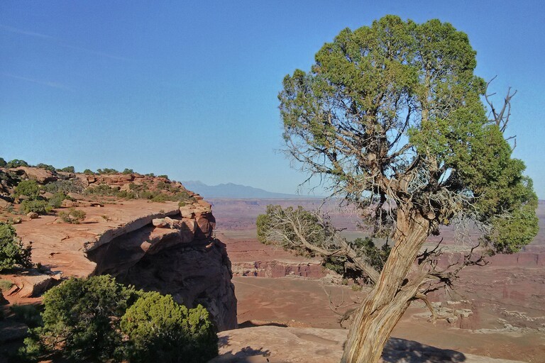Canyonlands_Grand View