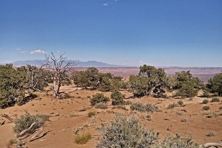 Canyonlands_Mesa Arch