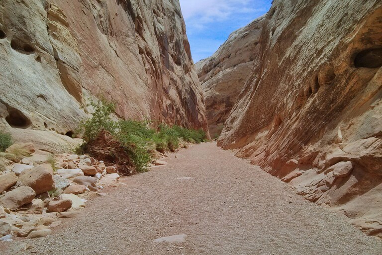 Capitol Reef_Capitol Gorge