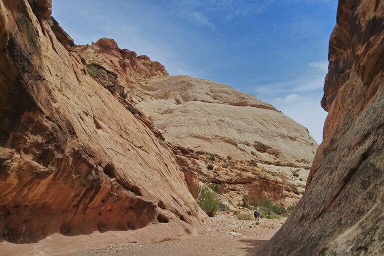 Capitol Reef_Capitol Gorge