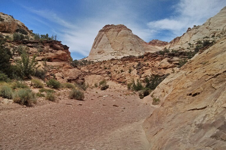 Capitol Reef_Capitol Gorge