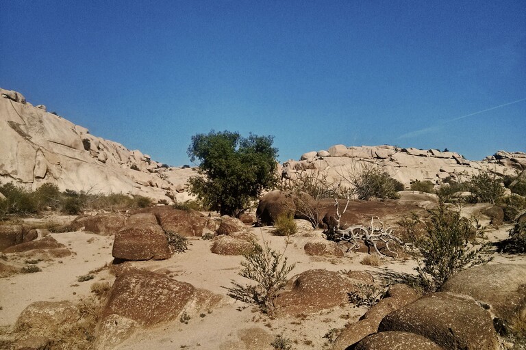 © ziegler.world Joshua Tree_Barker Dam