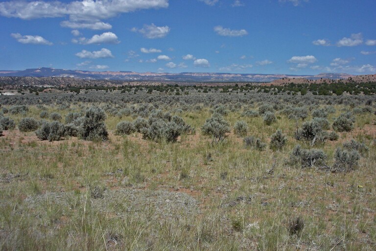 Kodachrome State Park