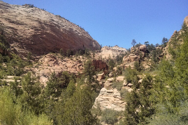 © ziegler.world Zion