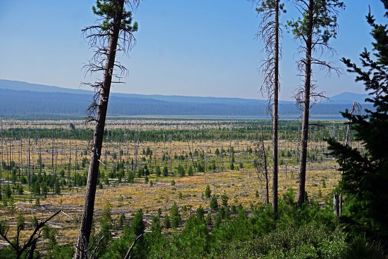 3 Sisters Wilderness