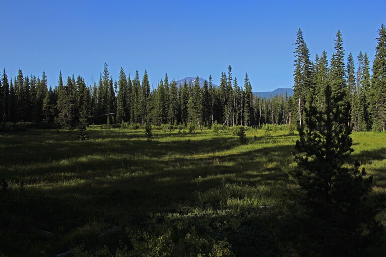 3 Sisters Wilderness