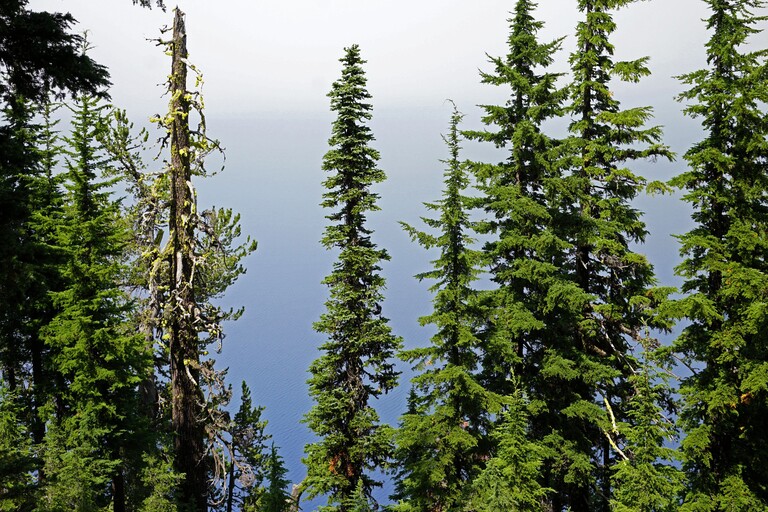 Crater Lake NP