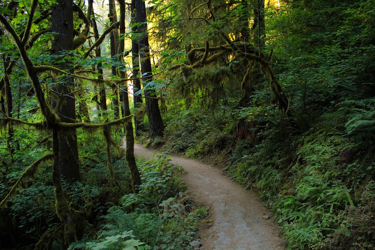 Eagle Creek Trail