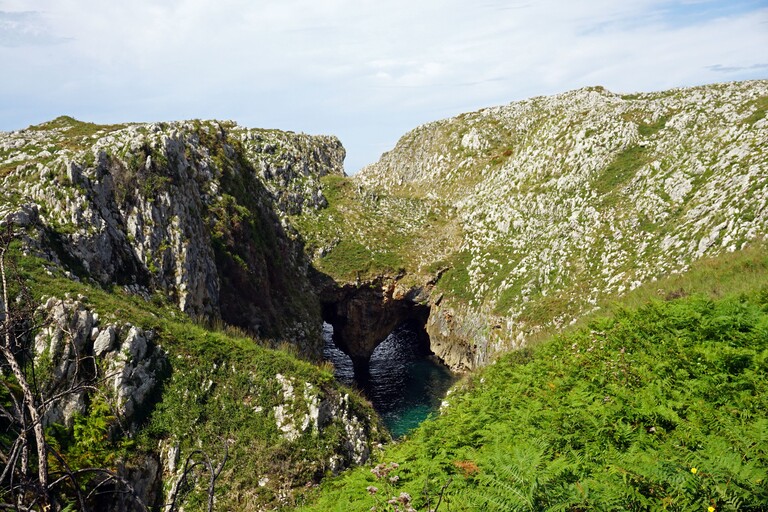 Formación de Las Grallas