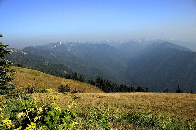 Hurricane Ridge