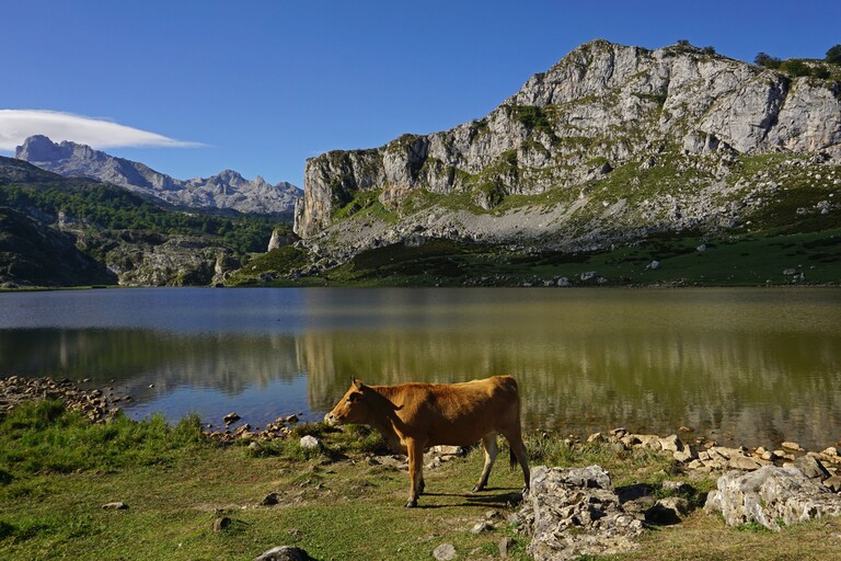 Lago de la Ercina