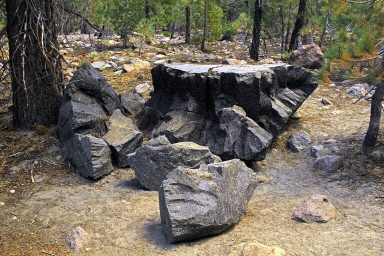 Lassen Volcanic_Devastated Area