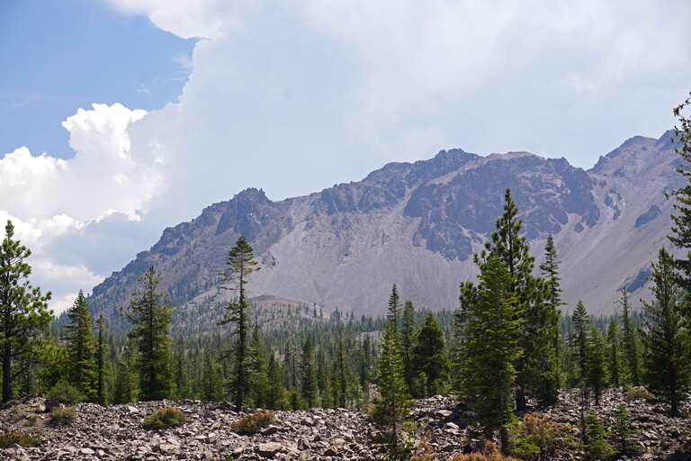 Lassen Volcanic_Devastated Area