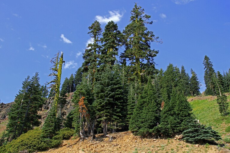 Lassen Volcanic_Lassen Highway