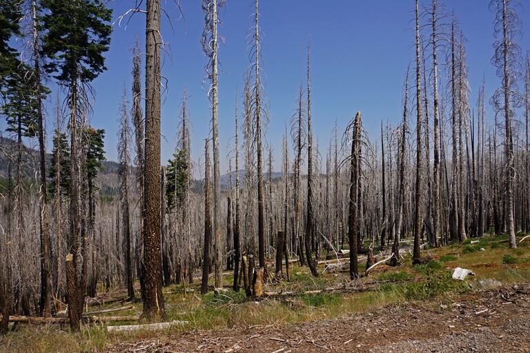 Lassen Volcanic_Lassen Highway