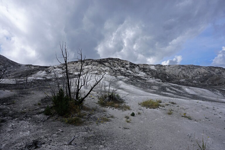 Mammoth Hot Springs