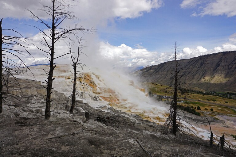 Mammoth Hot Springs