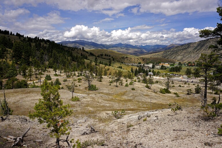 Mammoth Hot Springs