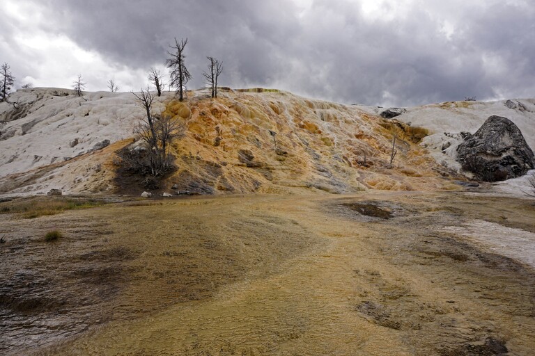 Mammoth Hot Springs