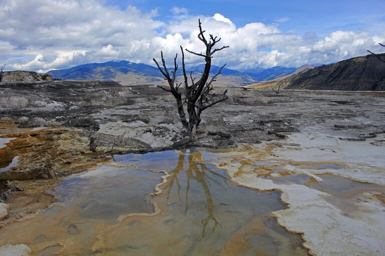 Mammoth Hot Springs