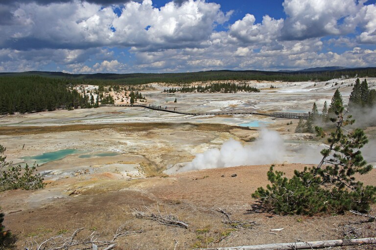 Norris Geysir Basin