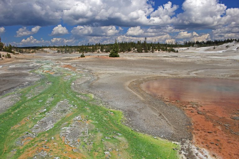 Norris Geysir Basin