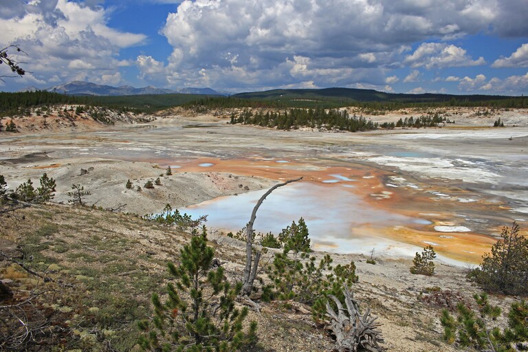 Norris Geysir Basin