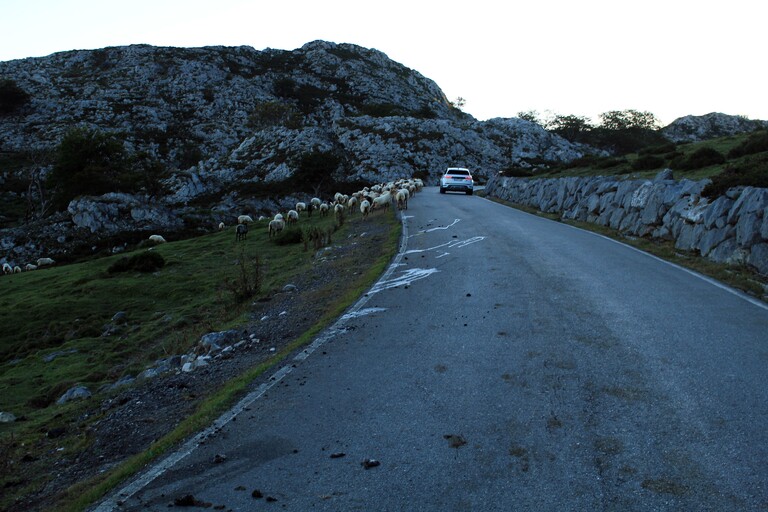 Picos de Europa_Auffahrt