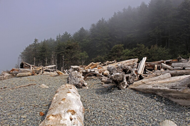 Rialto Beach