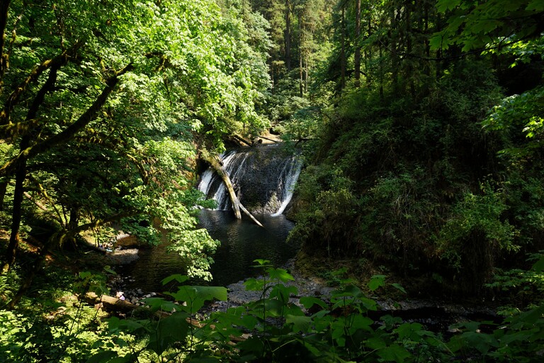 Silver Falls State Park