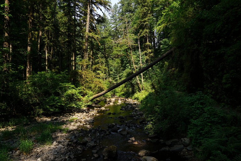 Silver Falls State Park