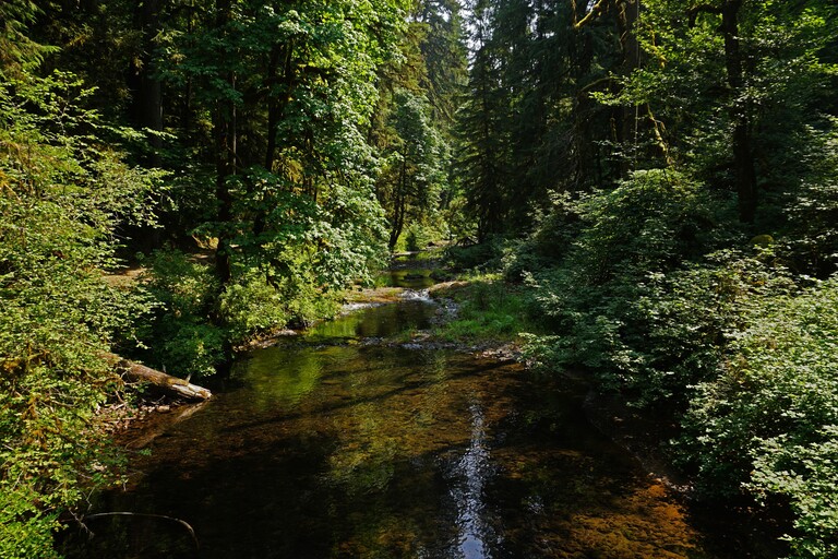 Silver Falls State Park