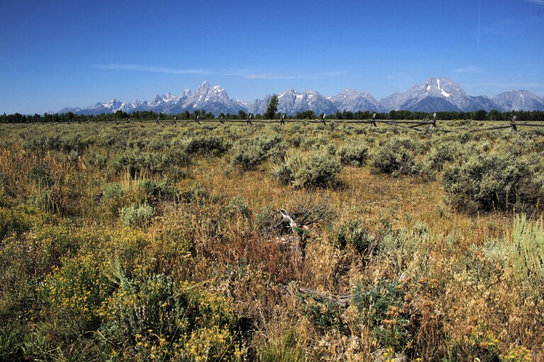 Teton Range