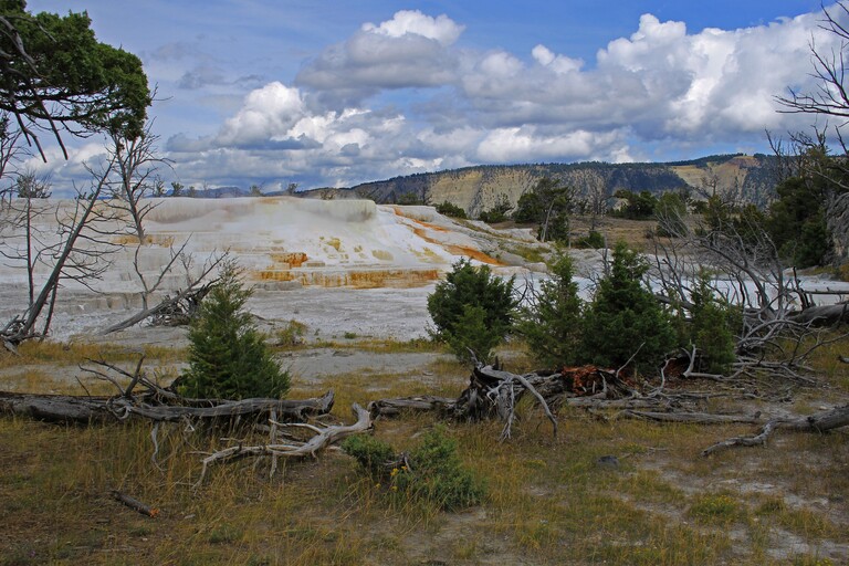 Upper Terrace Loop Drive