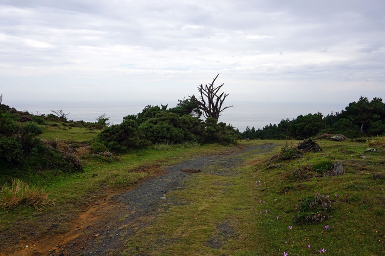 Mirador de la Fornela