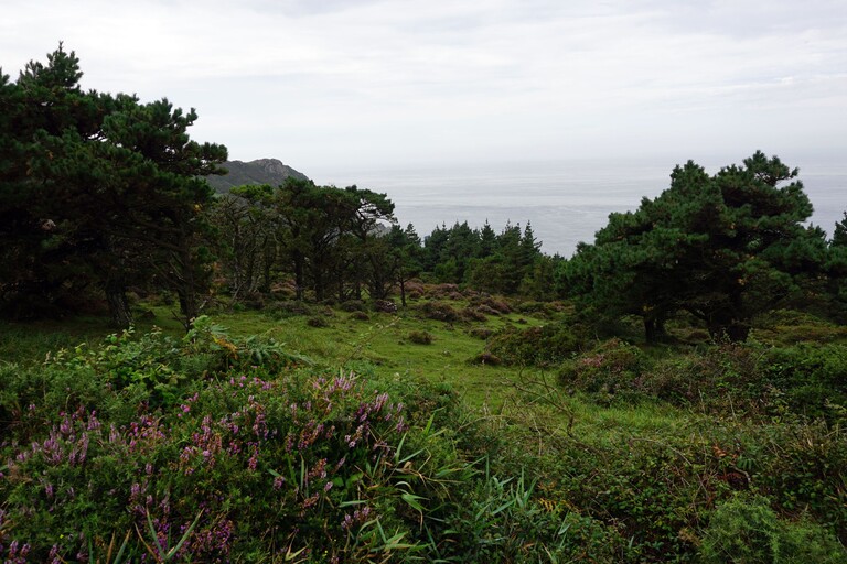 Mirador de la Fornela