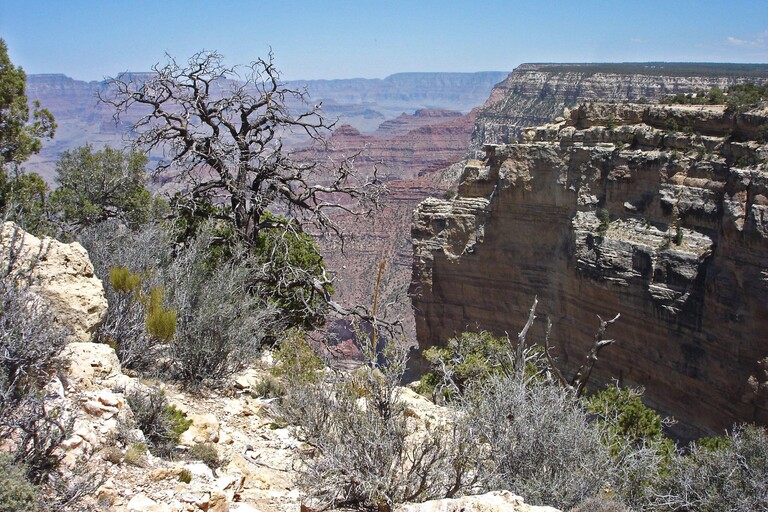 Grand Canyon_Nachmittag