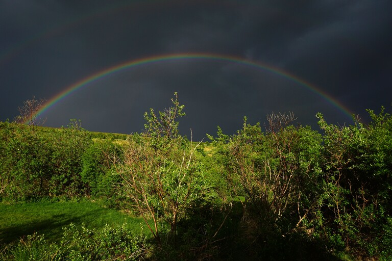 Regenbogen