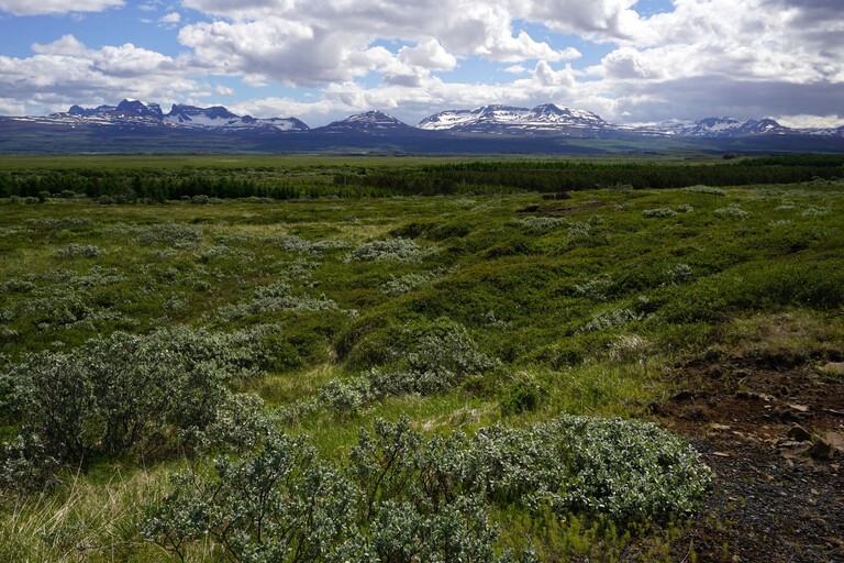 Offroad Richtung Süden
