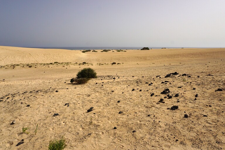 Dunas de Corralejo