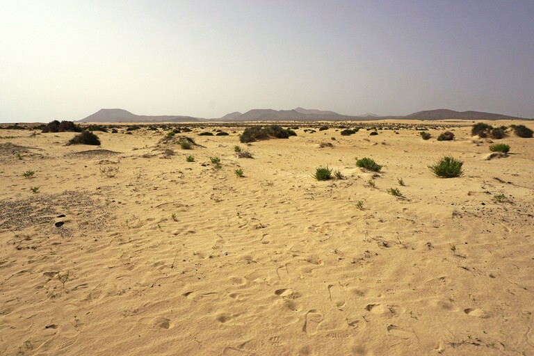 Dunas de Corralejo