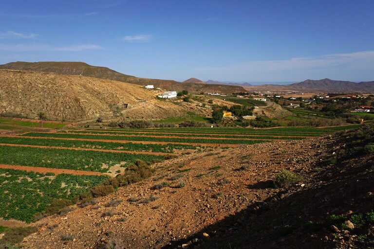Fahrt nach Betancuria