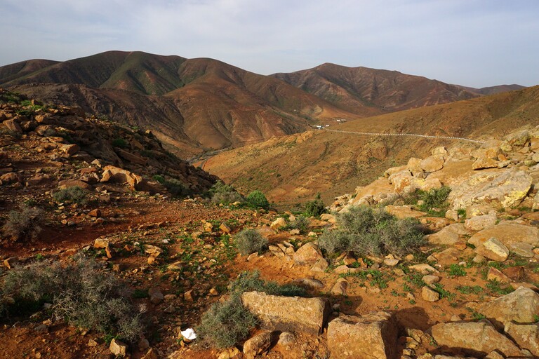 Fahrt nach Betancuria