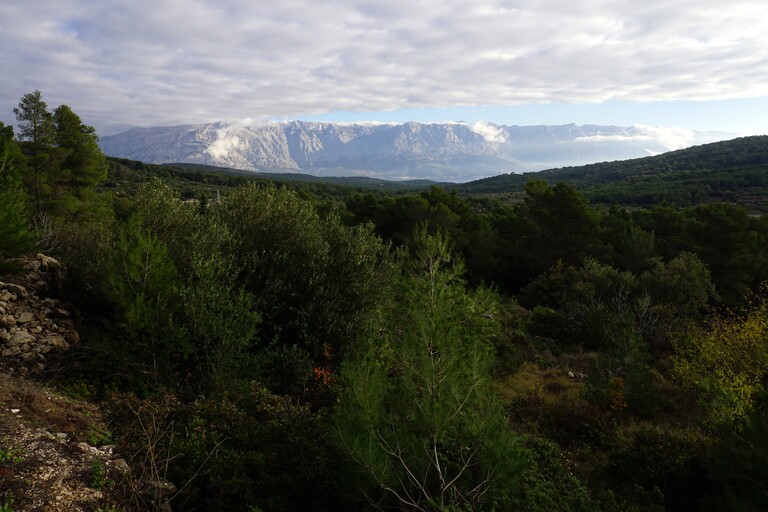 Brac_Fahrt nach Osten