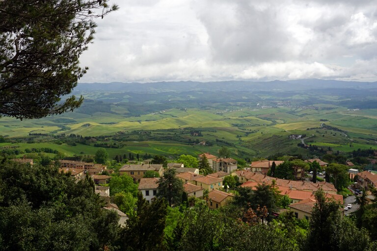 Volterra