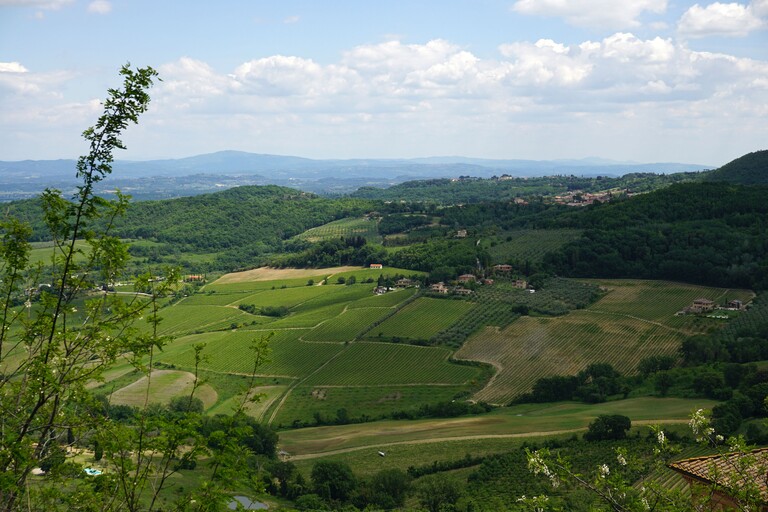 Montepulciano