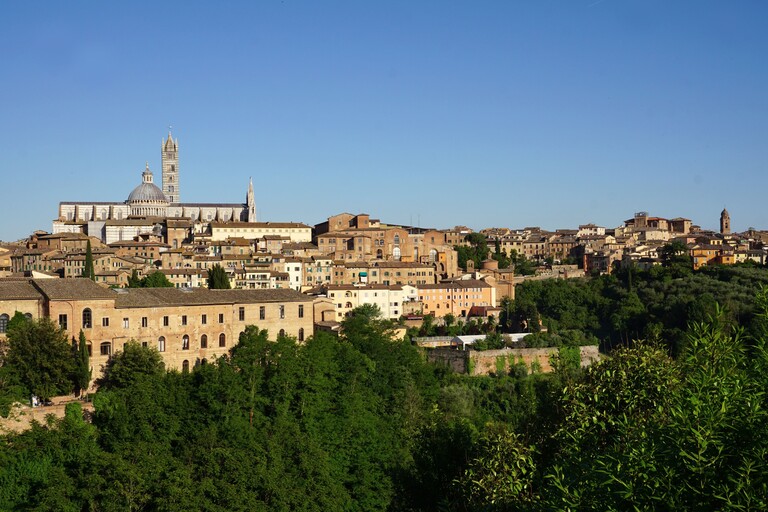 Siena Viewpoint