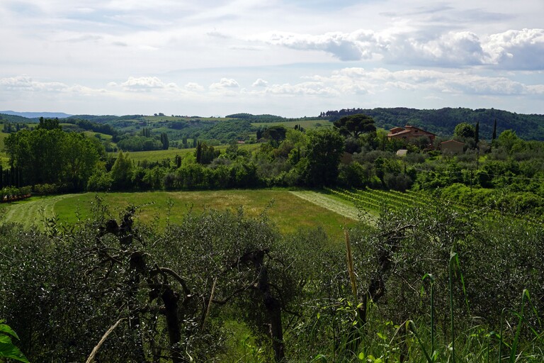 Val d&#039;Orcia