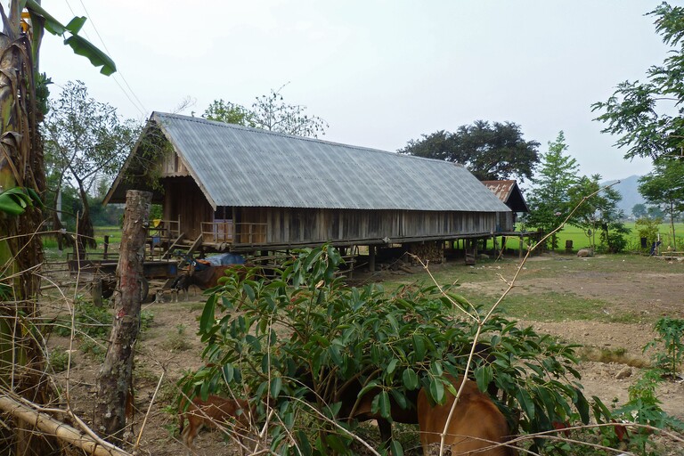 Longhouse