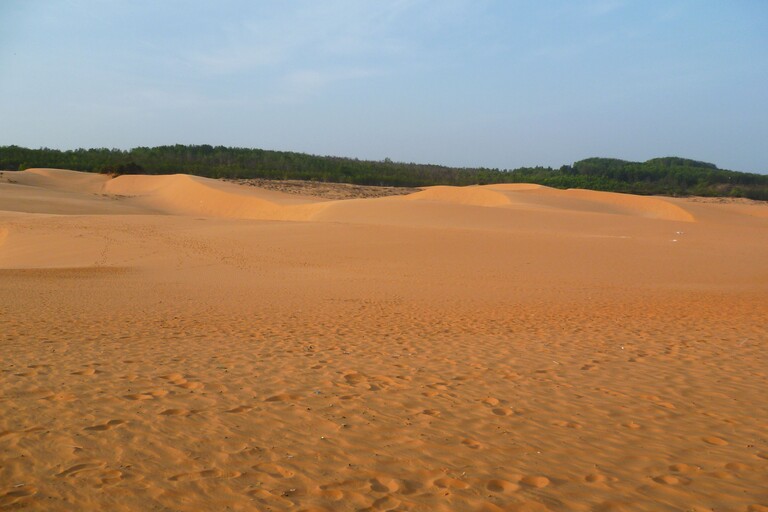 Red Sand Dunes